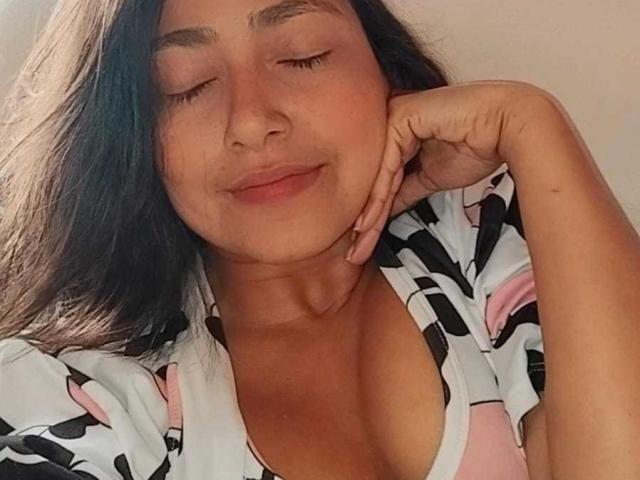 Digital illustration of a medieval-style coat of arms with a red and white shield, featuring a black lion. Minimalist design, flat colors, and clean lines. NovahPerotti's emblem.