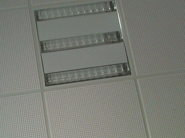 Ceiling with perforated white panels and three rectangular fluorescent light fixtures, each containing a row of glass tubes. Boobs-like texture from the perforated panels.