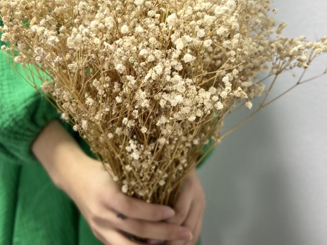 Laurali - Live sexe cam - 24002109