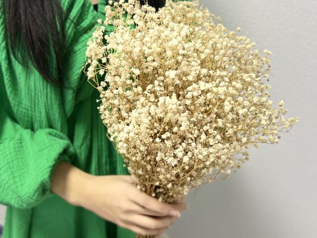 Laurali - Live sex cam - 24002189