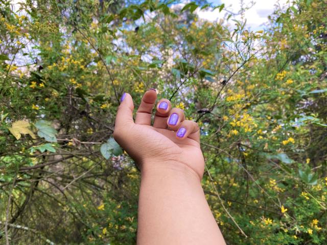 SophieSonyas - Live porn &amp; sex cam - 24021577