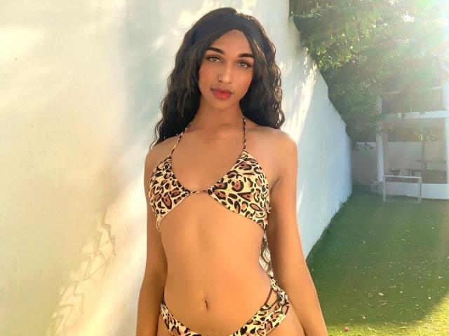 KendallKiss with long dark wavy hair, wearing a leopard print bikini, showing her small tits and flat ass, standing in sunlight, looking at the camera with a slight smile.