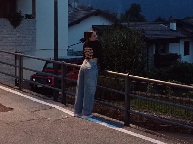 A close-up of a coat of arms featuring a bold, dark red design with a central white emblem and a thin white border. Simple, flat colors. Minimalistic style.