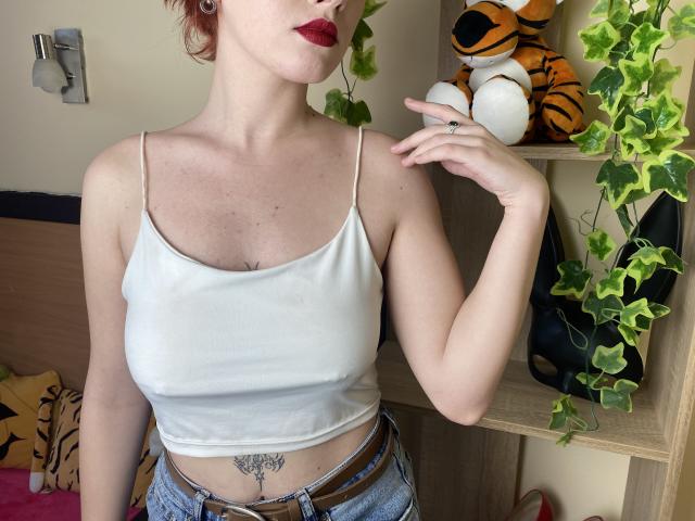 Tattias - פורנו בשידור חי ומצלמת סקס - 24171113