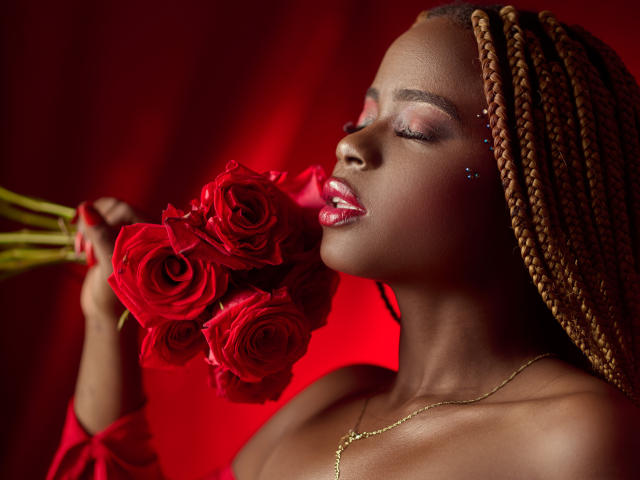 Digital illustration of a baroque-style coat of arms. Red, white, and black colors. Central emblem with intricate, ornate design. Bold, symmetrical layout. No visible textures or gradients.