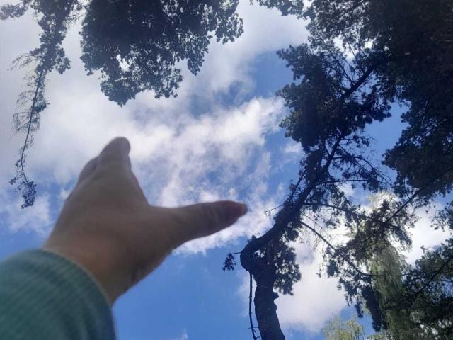 FrancheskaaWaalsh - Sexe cam en vivo - 24368497