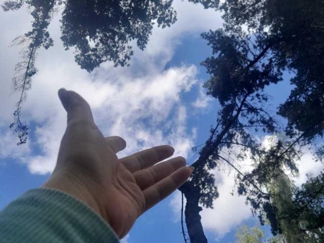 FrancheskaaWaalsh - Live Sex Cam - 24368509