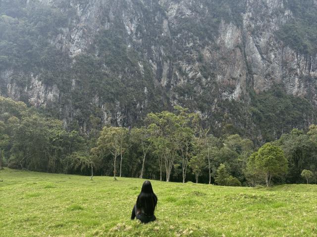 SophiePaytton with black, fluffy ass sitting on green grass, facing a rocky mountain and dense forest. She's in the foreground, with trees and mountains in the background.