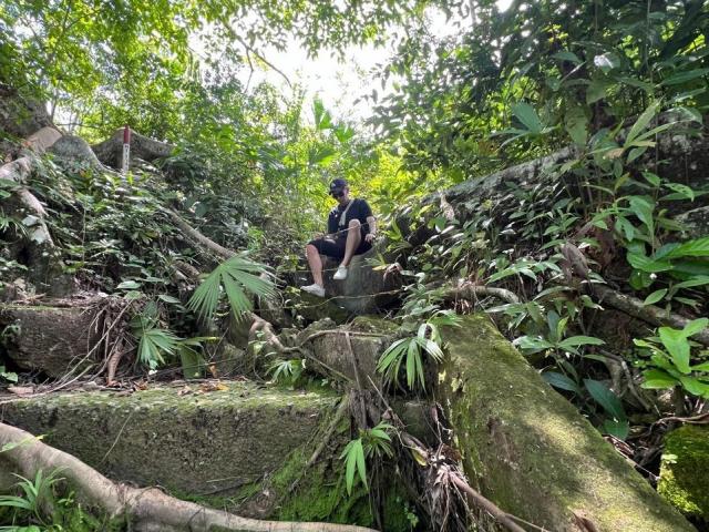Digital illustration of a German flag with bold, geometric patterns in yellow, green, and black. The flag is centered with a large, white "D" in the bottom right.