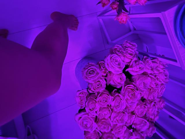 Stefanni's bare foot, purple-lit, next to a bouquet of pink roses, with her leg slightly bent and toes pointed upward. The roses are in a white vase.