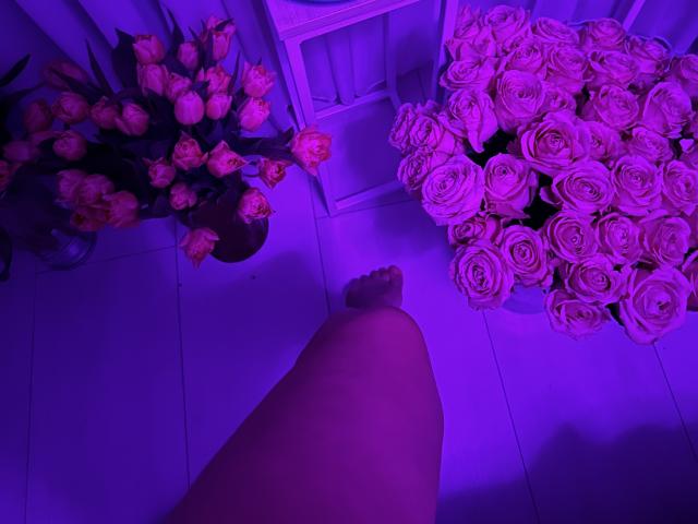 Stefanni - Live sex cam - 24449841