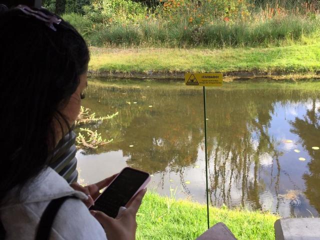 AdaWalton - Live porn &amp; sex cam - 24465165