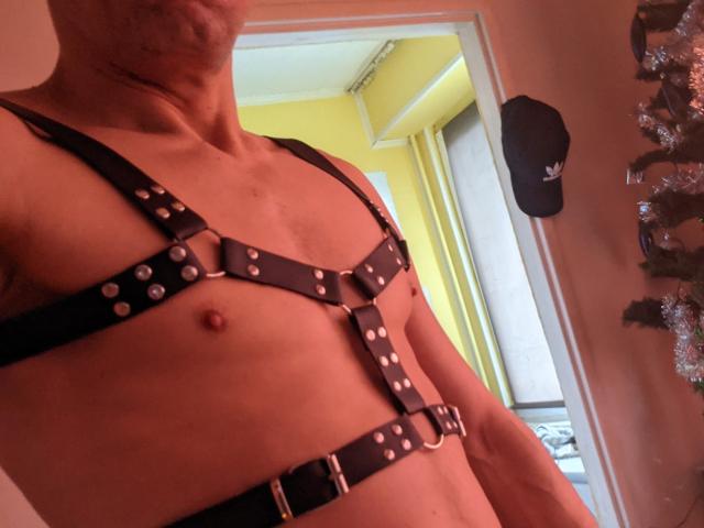 GejPolska's shirtless upper body with a black leather harness, metal studs, and visible nipple. GejPolska has a slim, toned physique. A black cap is on the wall.