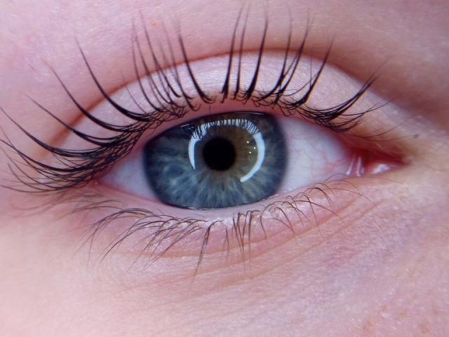 Lazalia - Sexe cam en vivo - 24539381