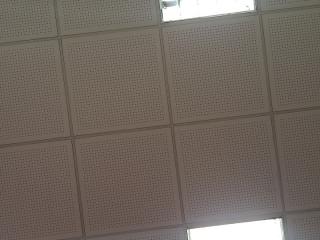 SoniaTestX - Camera khiêu dâm &amp; quyến rũ trực tiếp - 24577017