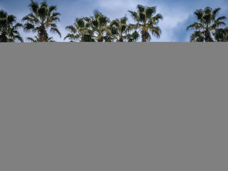 KrissSexi - Camera khiêu dâm &amp; quyến rũ trực tiếp - 24592145