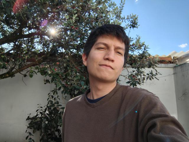 ErossGuy with short black hair, brown sweater, slight smirk, sun shining through tree leaves, clear blue sky, white wall in background, looking down, relaxed, slightly goofy expression.