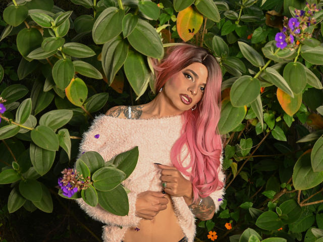 AlexJhonsons - Live sex cam - 24633537
