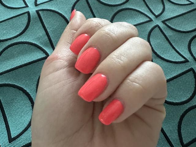 Stefanni - Sexe cam en vivo - 24656133