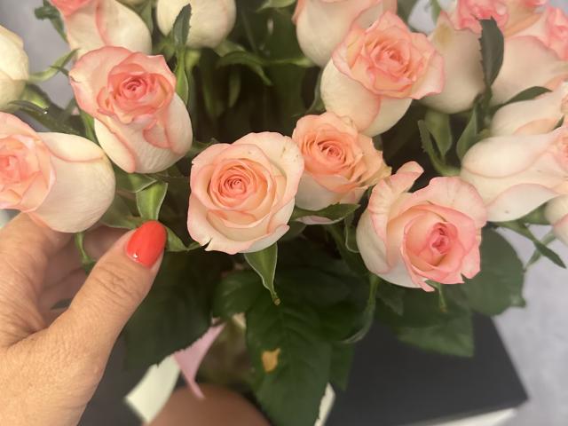 Stefanni - Porno na żywo i seks kamera - 24769605