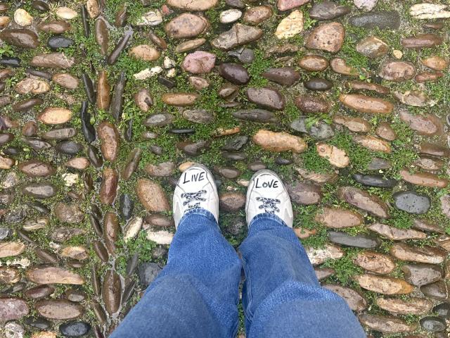 Stefanni - Live porn &amp; sex cam - 24769689