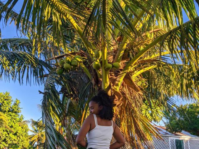 StefaniaSexy with curly black hair, wearing a white tank top, stands under a tall palm tree with green coconuts, sunlight highlighting her back and the tree's leaves.