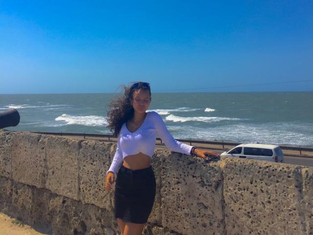 DanesaCronin with curly hair, white crop top, black skirt, standing by a stone wall, car in background, ocean and blue sky, sunglasses on head, smiling, mid-day sunlight.
