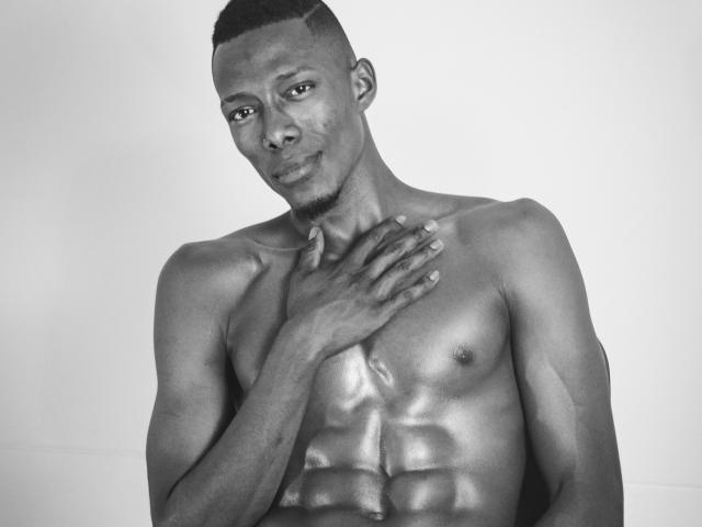 Flatter, 3D-style illustration of a coat of arms. Dark, solid colors with a prominent, slightly raised white emblem in the center. Simple, geometric shapes. Minimalistic, clean design.