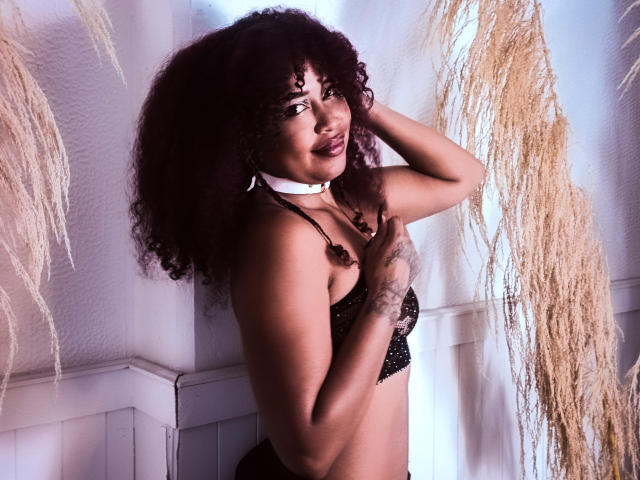 DalilaHeinz with curly dark hair, wearing a black lace bra and white choker, touching her chest, showing tattoos, standing with pampas grass on both sides, smiling.