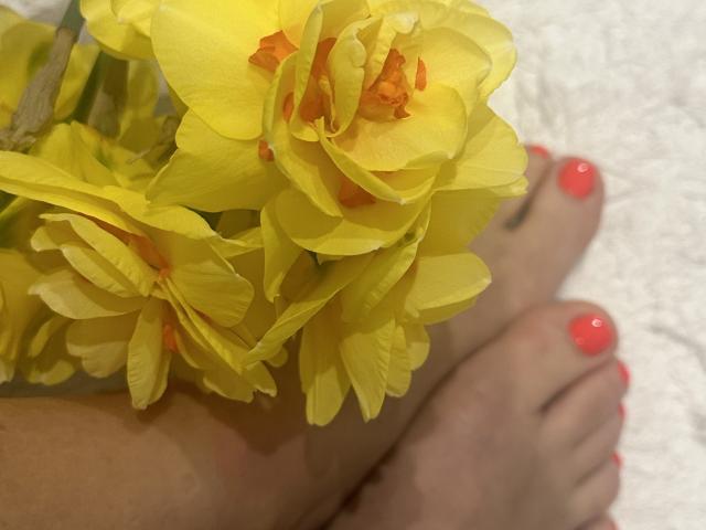 Les pieds de Stefanni, avec des ongles de pieds d'un rouge vif, à côté d'un bouquet de jonquilles jaunes avec des centres orange, sur une surface blanche et moelleuse..