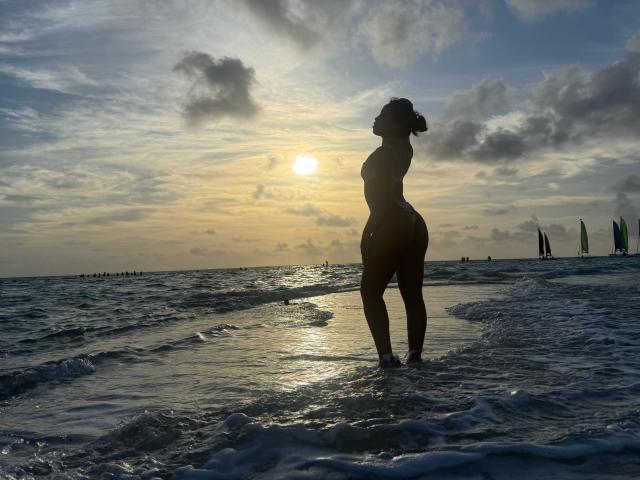 Heyly, standing in shallow water, silhouetted against sunset, her curvy ass and round breasts, her hair in a messy bun, faces the ocean.