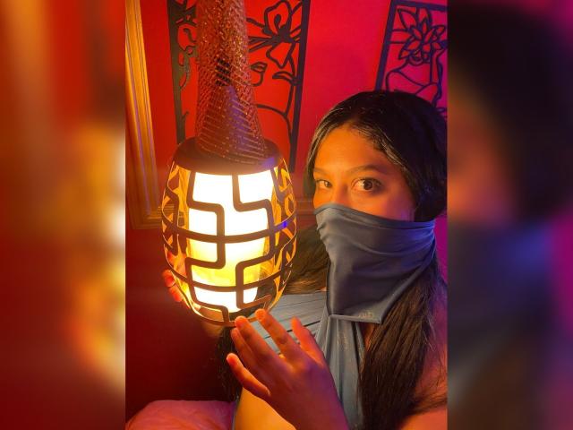 Flinty red and white coat of arms with a stylized lion head at the bottom. Bold, flat colors. Minimal shading. Simple, geometric design. AliceRosss not visible.