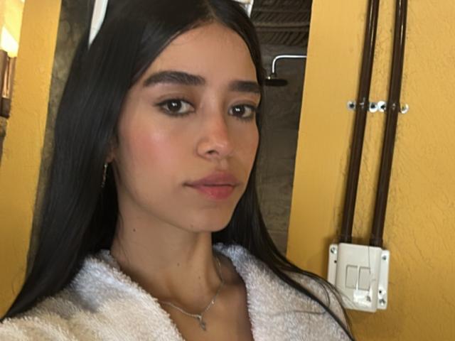 Digital art of a bold, flat-style coat of arms with a large, solid color design. Orange and black with a white emblem in the bottom right corner. Simple, geometric.