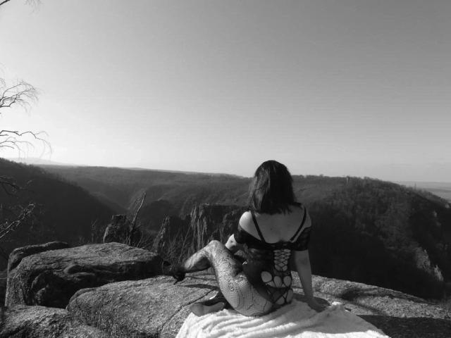A digital illustration of a minimalist, flat-style coat of arms. The arms feature a bold, red, vertical rectangle with a white, black, and grey pattern at the bottom.