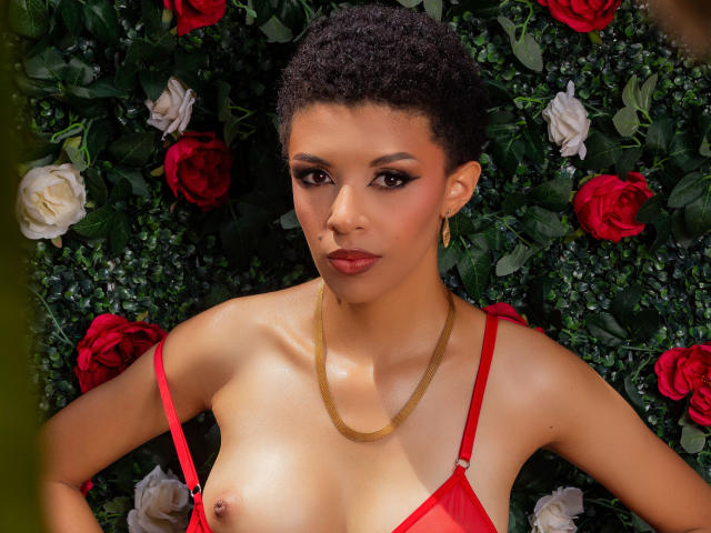 SamantaRoa, con i capelli ricci e corti, indossa lingerie rossa, una collana d'oro e orecchini, è sdraiata tra rose rosse e bianche, mostrando piccoli seni ed è rivolta direttamente verso la fotocamera..