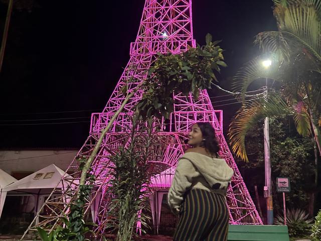 CharloteAdams stands in front of a pink neon tower, wearing a hoodie and striped pants, with a bush and palm tree on the right. Nighttime, streetlight.