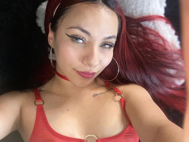 Digital illustration of a French flag-style coat of arms. Bold, flat colors with a prominent red and white pattern. Simple, clean lines. Centered, with a slightly raised, 3D effect.