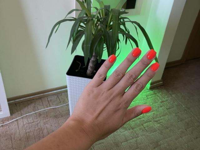 Trima's hand with bright red nails, palm facing up, next to a green-lit potted plant in a white basket. Her fingers are slightly spread.