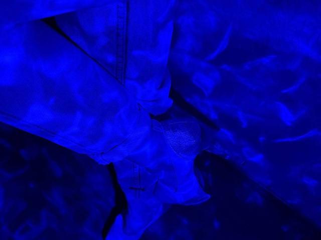 Siyana - Live sex cam - 25372993