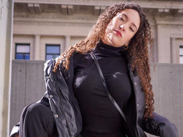 Flat design of a coat of arms with a bold, central red and white pattern, flanked by smaller designs. Simple, geometric shapes. Minimal color use. Modern, digital illustration style.