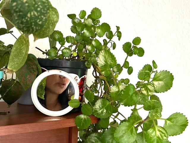 JeyyLee - 라이브 포르노 &amp; 섹스 캠 - 25407661