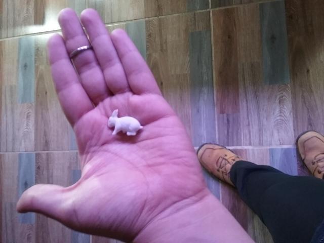 EskelaTheHuntress - Camera khiêu dâm &amp; quyến rũ trực tiếp - 25418849