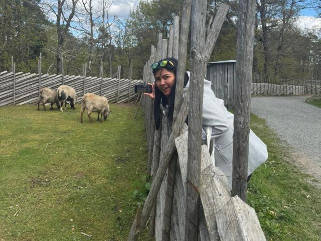 Ivysoul with long black hair and green goggles, smiling through a wooden fence, holding a phone. Two sheep graze in the grassy background.