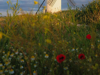 Coco25-hot - Camera khiêu dâm &amp; quyến rũ trực tiếp - 25500881