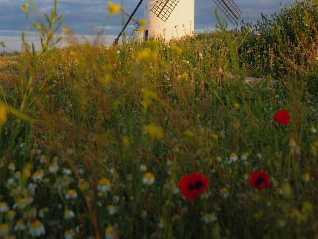 Coco25-hot - Live porn &amp; sex cam - 25500881