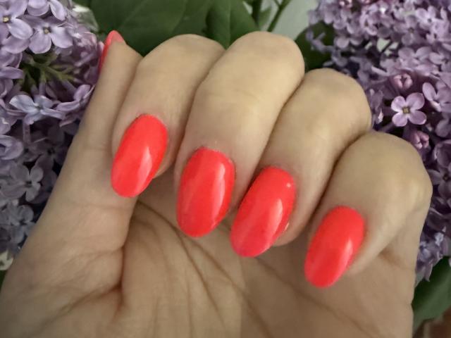 Stefanni's shiny, bright pink, almond-shaped nails are prominently displayed in the center of the image, with purple lilac flowers in the background.