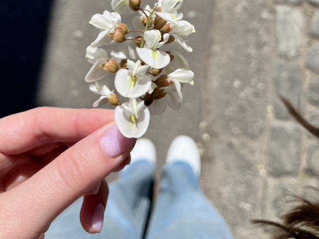 VeronikaSoul - ライブポルノ&amp;セックスカム - 25550473