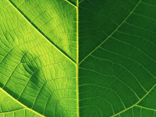 Coco25-hot - Camera khiêu dâm &amp; quyến rũ trực tiếp - 25570797