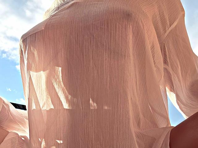 Close-up of JuneLaFrenchie's textured, pinkish-red, fabric-like body with intricate, vertical lines and folds, illuminated by bright sunlight. The fabric's tension creates a sensual, almost erotic visual effect.