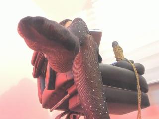 CharlotteJoliie - Live porno og sexkamera - 25686297